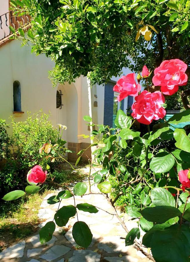 Studio Au Calme Tout Confort Proche Des Plages - Jardin Wifi Parking Fréjus Esterno foto